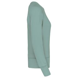 Bio-Baumwoll-Sweatshirt mit Rundhalsausschnitt und Raglanärmeln