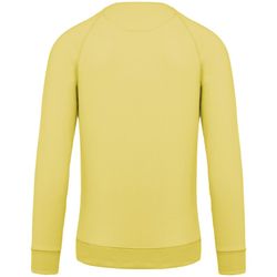 Sudadera algodón orgánico con cuello redondo y mangas raglán