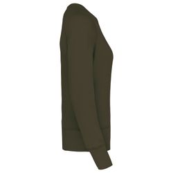 Bio-Baumwoll-Sweatshirt mit Rundhalsausschnitt und Raglanärmeln
