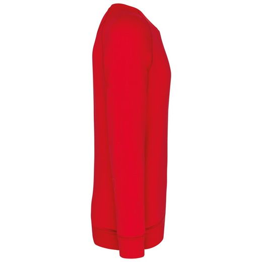 Sudadera algodón orgánico con cuello redondo y mangas raglán