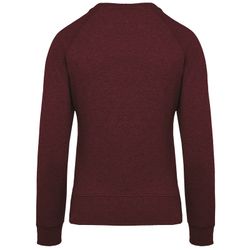 Bio-Baumwoll-Sweatshirt mit Rundhalsausschnitt und Raglanärmeln