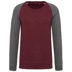 Zweifarbiges Sweatshirt aus Bio-Baumwolle Raglanärmel mit Rundhalsausschnitt für Männer