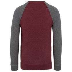 Zweifarbiges Sweatshirt aus Bio-Baumwolle Raglanärmel mit Rundhalsausschnitt für Männer