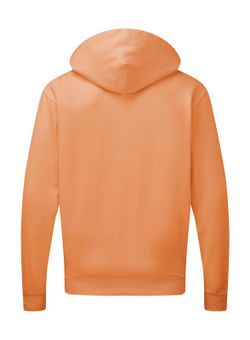 Sudadera capucha cremallera entera hombre