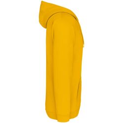 Kapuzenpullover mit Reißverschluss