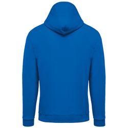 Herren Kapuzensweatshirt