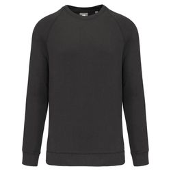 Sweatshirt mit Rundhalsausschnitt