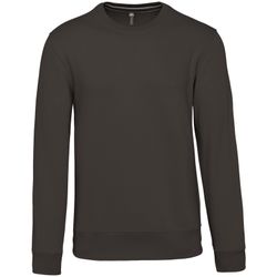 Sweatshirt mit Rundhalsausschnitt