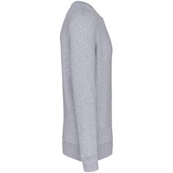 Sweatshirt mit Rundhalsausschnitt