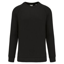 Sweatshirt mit Rundhalsausschnitt