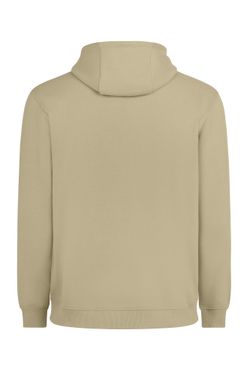 Sudadera cremallera capucha