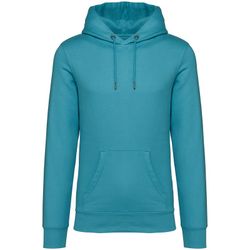 Eco-friendly unisex hooded sweatshirt