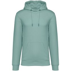 Eco-friendly unisex hooded sweatshirt