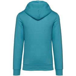 Eco-friendly unisex hooded sweatshirt