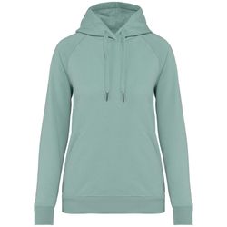 Eco-friendly ladies' raglan hooded sweatshirt