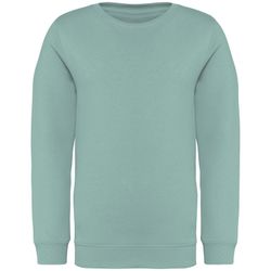 Eco-friendly Kids' round neck sweatshirt