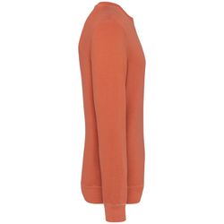 Umweltfreundliches Unisex Sweatshirt mit Rundhalsausschnitt aus French Terry