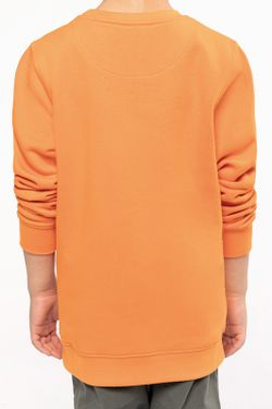 Umweltbewusstes Kinder-Sweatshirt