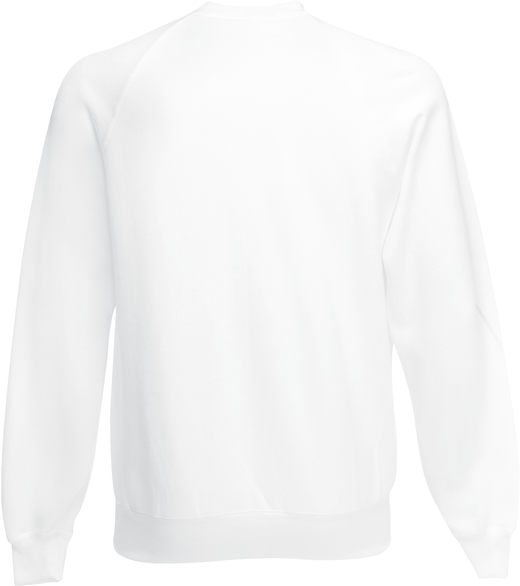 Classic Raglan Sweat (62-216-0)