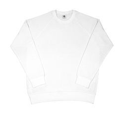 Felpa raglan da uomo