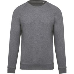Raglan-Ärmel-Sweatshirts aus Bio-Baumwolle für Jungen