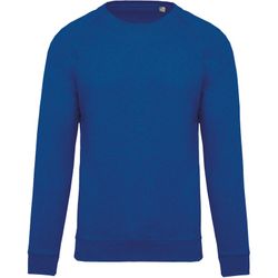 Raglan-Ärmel-Sweatshirts aus Bio-Baumwolle für Jungen